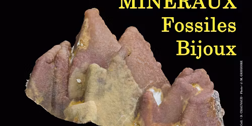 10e SALON MINERAUX FOSSILES BIJOUX de MERIGNAC (Gironde)