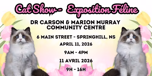 Springhill Cat Show 2026