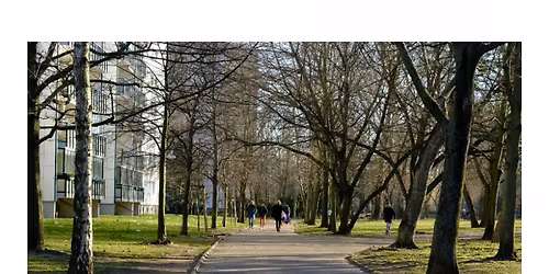 Annual Old Greenville 5K Run/Walk