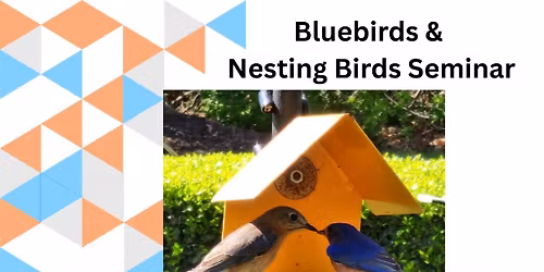 BlueBirds & Nesting Birds Seminar