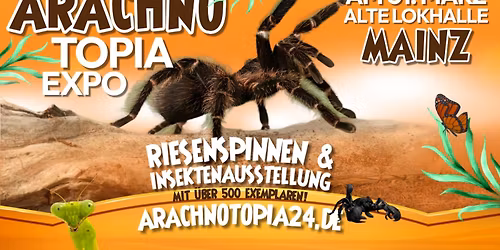 Arachnotopia - Riesenspinnen & Insektenausstellung Mainz