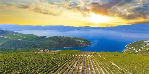 A Taste of Croatia: Premium Wine Tasting at Coastal Bubbles + Wine Bar