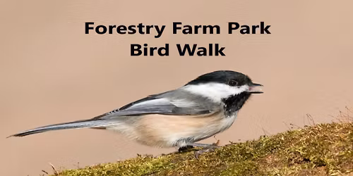 Forestry Farm Park Bird Walk