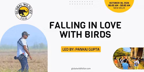 Falling in Love with Birds