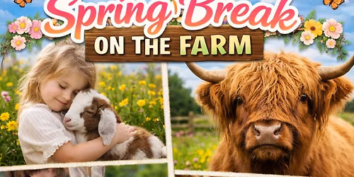 \ud83c\udf38\ud83d\udc10 SPRING BREAK = BABY GOAT & CALF SNUGGLE SEASON \ud83d\udc04\ud83c\udf3b