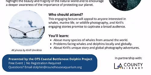 Roundhouse Aquarium Presents Exploring the World of Whales: A Photography Talk with Kirill Umrikhin