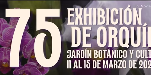 75 Venta y Exhibici\u00f3n de Orqu\u00eddeas en Caguas