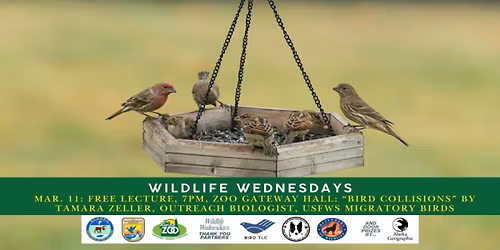 Wildlife Wednesday FREE Science Lecture: Bird Collisions