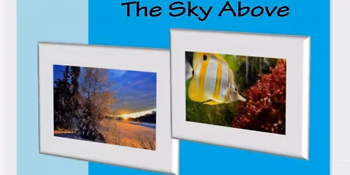 Up Town Art Gallery - New Show