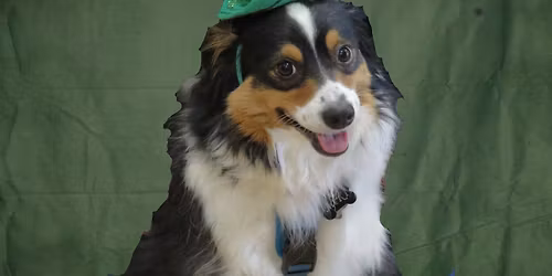 st. patrick's day photoshoot mississauga