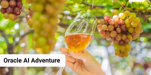 Oracle AI Adventure