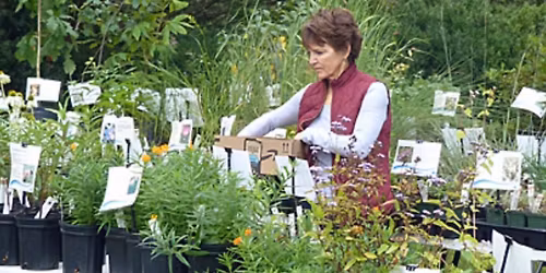 LWC Spring Native Plant Sale