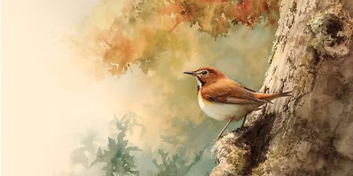 3-Week Expanding the Basics Watercolor Painting Workshop - Spring is in the Air