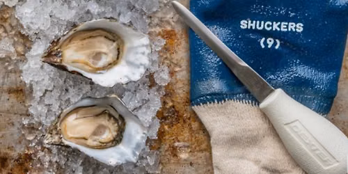 Shuck Yea! Oyster and Champagne Experience