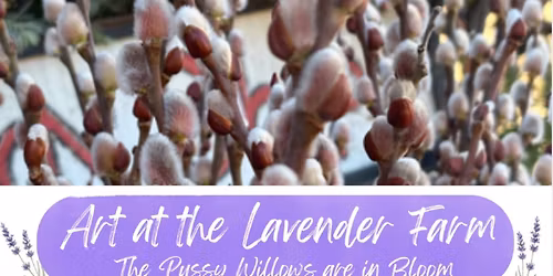 Art at the Lavender Farm !