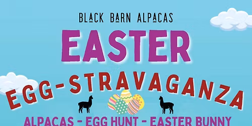 Black Barn Alpacas' Egg-stravaganza