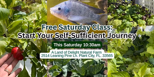 Pre-Spring How to Grow Your Own Food: Start Your Edible Garden NOW! \u2502 This Saturday \u2502 Plant City