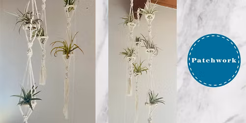 Patchwork Presents Macrame Air Plant Hanger Craft Workshop