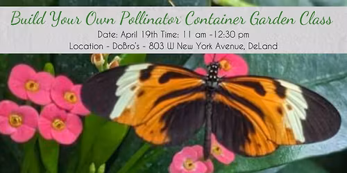 Build Your Own Pollinator Container Garden Class