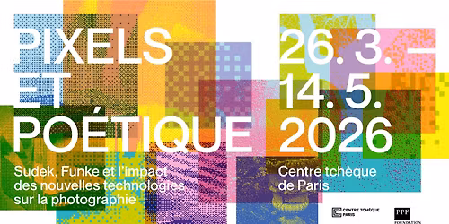 Pixels et po\u00e9tique