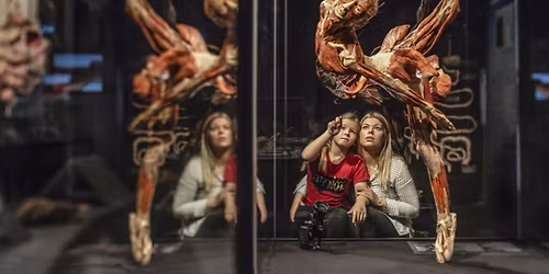 BODY WORLDS: The Anatomy of Happiness