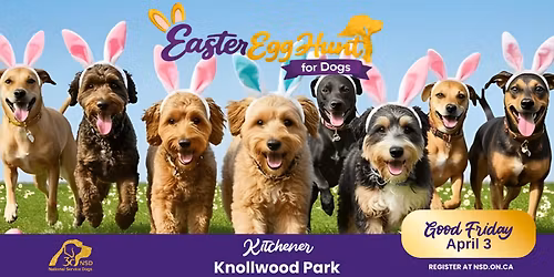 National Service Dogs Annual Easter Egg Hunt for Dogs & their Families