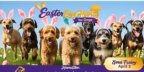 National Service Dogs 28th Annual Easter Egg Hunt for Dogs