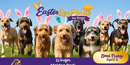 National Service Dogs Annual Easter Egg Hunt for Dogs