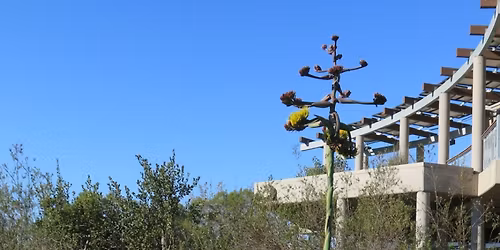 Discovery Tour | Nature Collective