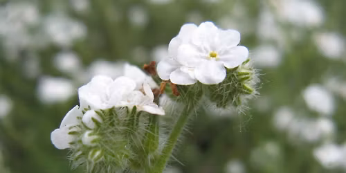 Wildlife Tour | Nature Collective