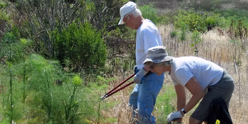 Volunteer Event | Nature Collective