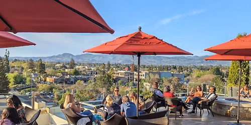 Rooftop Party at Beautiful Hotel for Single Professionals, 40+