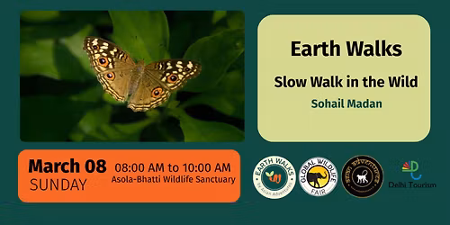 Slow Walk in the Wild at Asola-Bhatti Wildlife Sanctuary