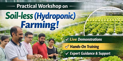 Hydroponics for Beginners