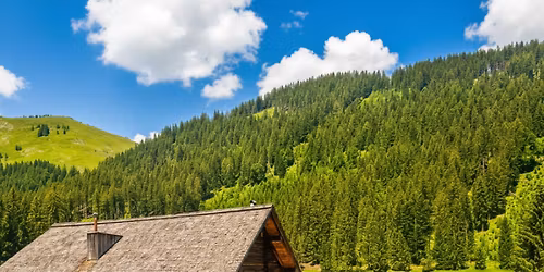 einfach-dankbar-leben auf der Alm