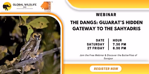 The Dangs: Gujarat\u2019s Hidden Gateway to the Sahyadris