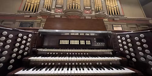 Organic Reflections: Palms to Passion