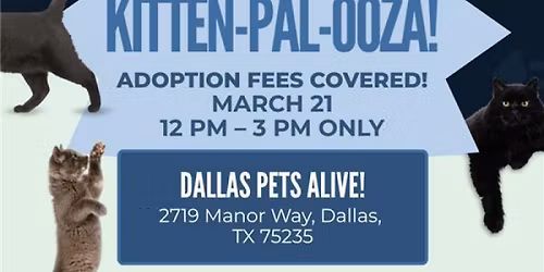 Dallas Pets Alive Partners with Angel Reyes & Associates to Cover All Pet Adoption Fees 