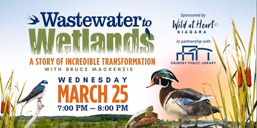 Wastewater to Wetlands - A Story of Incredible Transformation