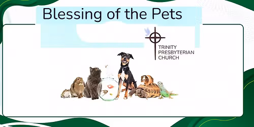 Blessing of the Pets