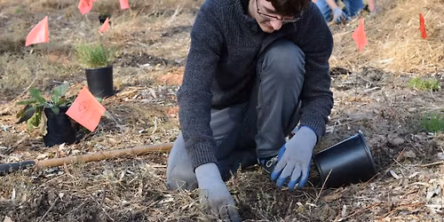 Volunteer Restoration Event | Nature Collective