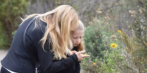 Spring Nature Festival | Nature Collective
