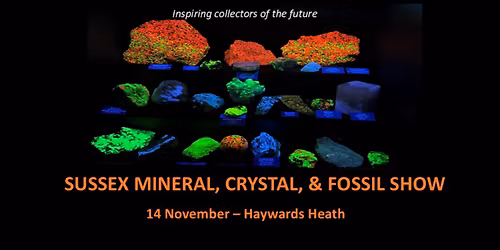 Sussex Mineral Crystal & Fossil Show