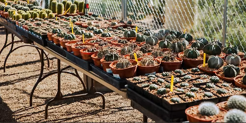 Tohono Chul Hosts Annual Spring Plant Sale MARCH 20-22