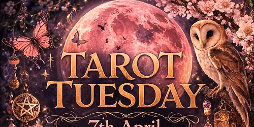 Tarot Tuesday at Coffee#1 Banbury