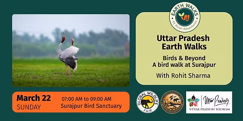 Birds & Beyond: A bird walk at Surajpur