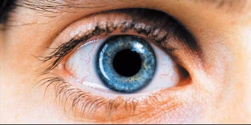 Requiem for a Dream Film Screening 