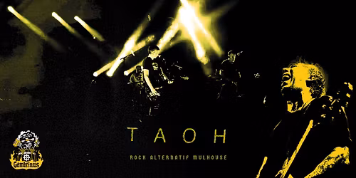 Concert rock alternatif avec le groupe TAOH au Gambrinus Mulhouse