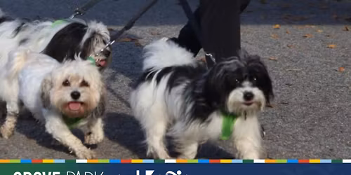 8th Annual Grove Park Foundation 5k