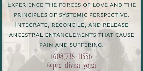 Embodied Systemic Awareness  Exploring the Family Field Through Movement and Constellations